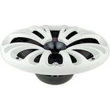 Bocina Marina Audiopipe APMP-6923CHF 6x9 PLG 250W - Audioshop México lo mejor en Car Audio en México -  Audiopipe