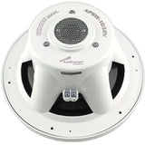 Subwoofer Marino Audiopipe APSW-1032V 10 PLG 600W 4 Ohms - Audioshop México lo mejor en Car Audio en México -  Audiopipe