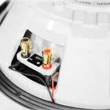 Subwoofer Marino MB Quart NW1-254L 10 PLG LED - Audioshop México lo mejor en Car Audio en México -  MB Quart