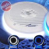 Anillos LED Marinos para subwoofer Audiopipe NL-RI1050 WH 10 Pulgadas Blanco - Audioshop México lo mejor en Car Audio en México -  Audiopipe