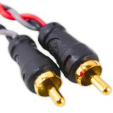 Cable RCA Audiopipe CPP-TW6 De 1.82M Libre De Oxigeno - Audioshop México lo mejor en Car Audio en México -  Audiopipe