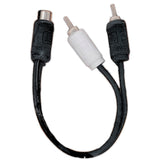 Cable RCA DB Link ZLY2M 2 Macho 1 Hembra 100% OFC ZL Graphite Series - Audioshop México lo mejor en Car Audio en México -  DB Link