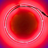 Anillo LED RGB para Bocinas 8 pulgadas NLRIAPMP8 Audiopipe