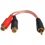 Cable RCA DB Link XLY2FZ 2 Hembra 1 Macho Audio Chapado en Oro X-Series RCA - Audioshop México lo mejor en Car Audio en México -  DB Link