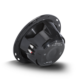 Subwoofer Marino Rockford Fosgate RM110D4 400 Watts 10 Pulgadas 4 Ohms Doble Bobina - Audioshop México lo mejor en Car Audio en México -  Rockford Fosgate