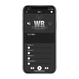 Controlador de Luz RGB Rockford Fosgate PMX-RGB - Audioshop México lo mejor en Car Audio en México -  Rockford Fosgate