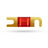 Minifusible ANL DB Link MANL50 50 Amperios 50amp - Audioshop México lo mejor en Car Audio en México -  DB Link